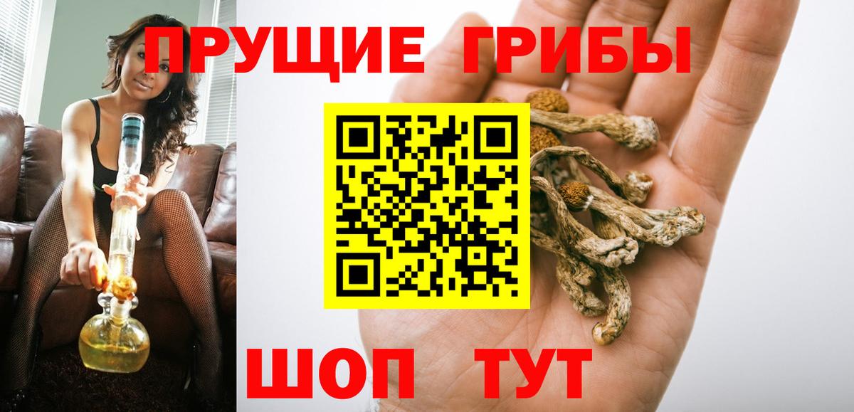 Шарыпово  Псилоцибиновые грибы Psilocybine cubensis  Вход с VPN 
